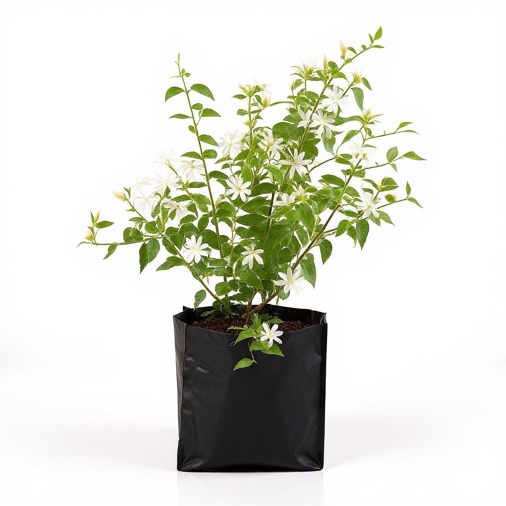 Kunda - 10" Grow bag